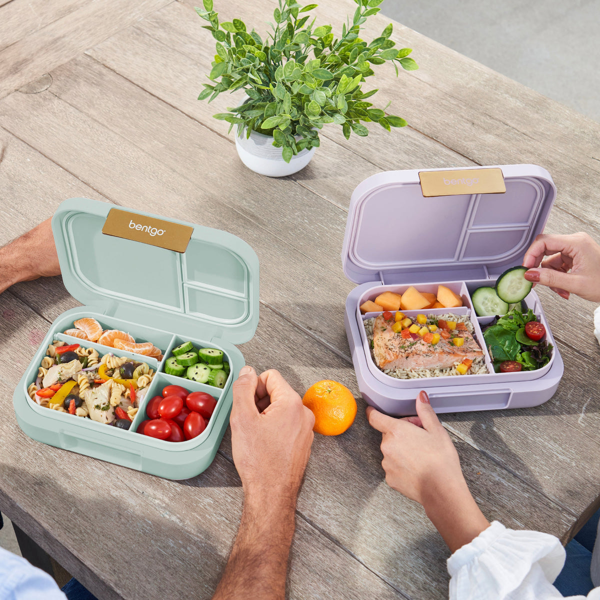 bentgo-modern-lunch-box-2-pack-k7 COSTCOBMCPRODUCTIMAGE_2.jpg
